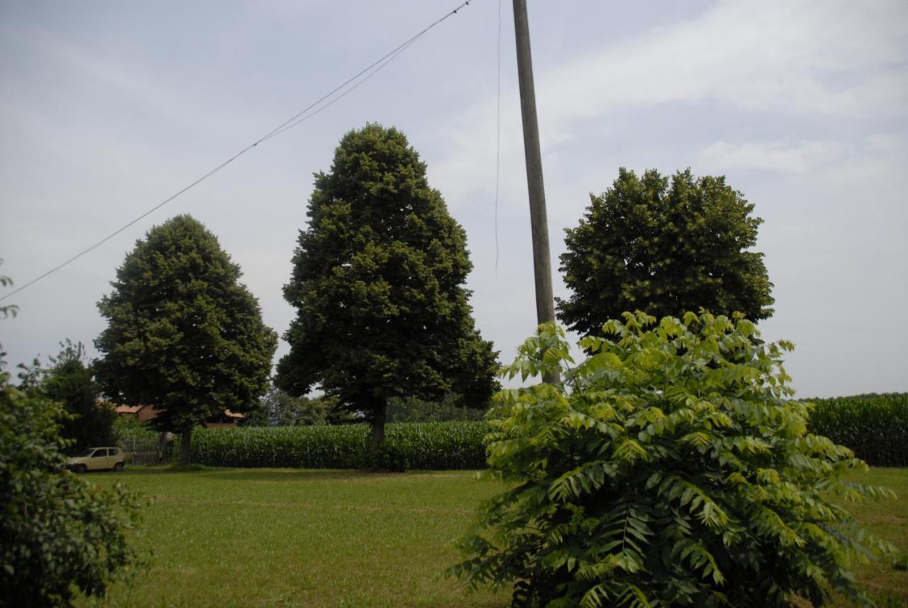 مبيت وإفطار Candia Canavese Spighe Paglia E Girasole المظهر الخارجي الصورة