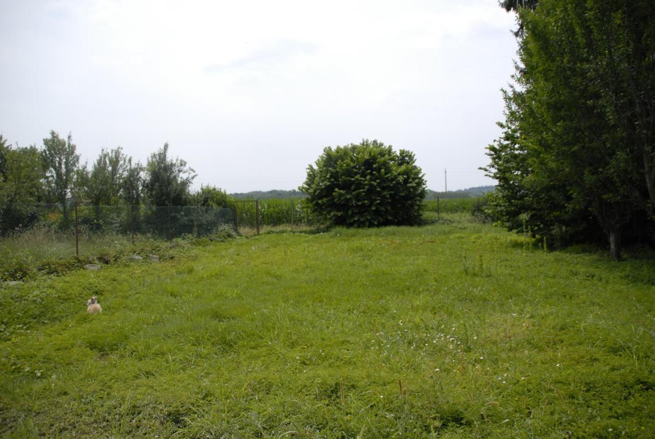 مبيت وإفطار Candia Canavese Spighe Paglia E Girasole المظهر الخارجي الصورة
